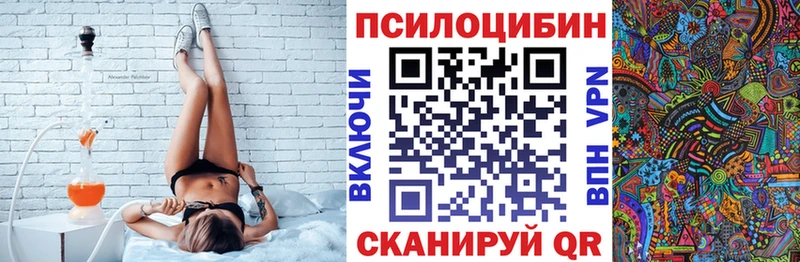 купить  цена  Балей  Псилоцибиновые грибы мицелий 